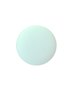P12 Chalk Matt Round Mint(90) Shank Button