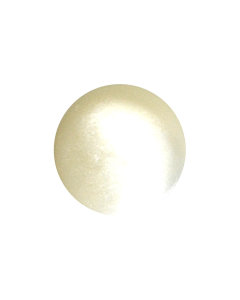 X121 Troca Round 24L White Shank Button