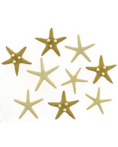 CJJ-9365 Starfish Wishes