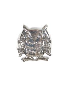 B608 Owl 21mm Silver Shank Button